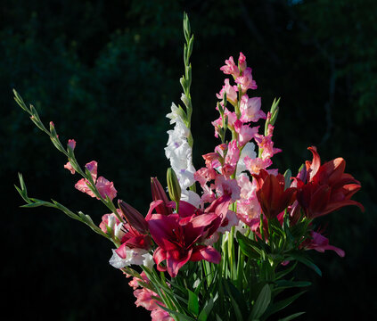 Bouquet de lys rouge et roses, lys Anastasia, Montezuma, Dizzy et gla&iuml;euls (jardin du ruisseau de l&eacute;glise 2023)
