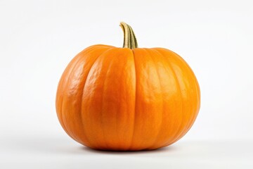 Pumpkin big on white background