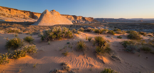 Wüste, nahe Stud Horse Point, Arizona, USA
