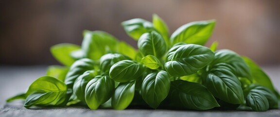 Fresh Basil Bunch, vibrant green basil leaves, their rich colors and textures standing out against