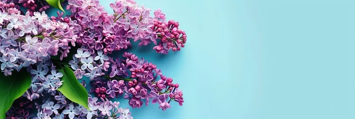 Foto op Plexiglas Colorful floral bouquet of lilac flowers with copy space © Brian