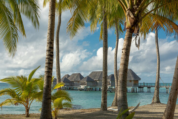 French Polynesia atoll with palm trees forest on the beach.