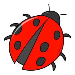 Fototapeta premium cute red ladybug illustration vector