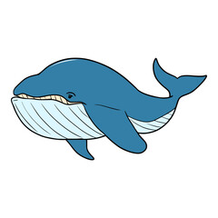 blue whale illustration isolated vector