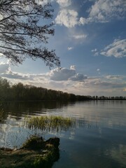 Summer mood, wonderful flowers