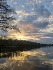 Summer mood, wonderful flowers