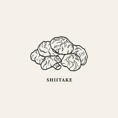 Line art shiitake mushrooms illustration