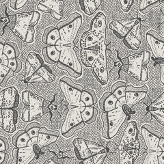 Black and white insect pattern with spooky vibes. Neutral but bold bugs design with esoteric witchcraft look. Dark moth or butterfly paranormal design is perfect for the fall season.
