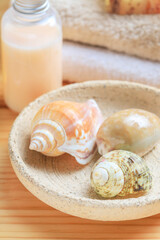 A set of sea shells on a bowl. Towels and cosmetics in the background.
