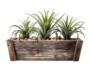 Reclaimed Wood Planter, isolated on a transparent or white background