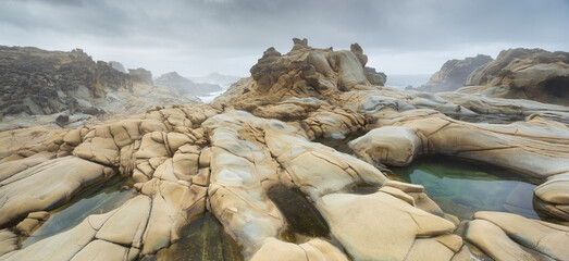Sandstein, Salt Point State Park, Sonoma Coast, Kalifornien, USA