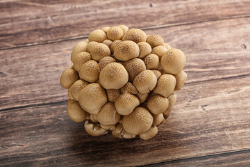 Raw asiam delicacy mushroom Shimeji