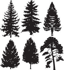 Set Trees. Hand drawn vector illustration