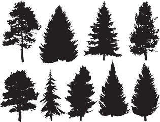 Set Trees. Hand drawn vector illustration