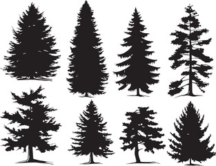 Set Trees. Hand drawn vector illustration