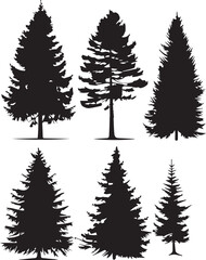 Obraz premium Set Trees. Hand drawn vector illustration