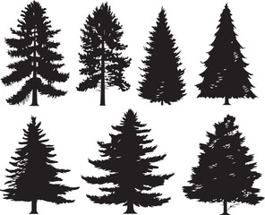 Set Trees. Hand drawn vector illustration