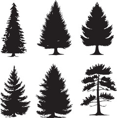 Obraz premium Set Trees. Hand drawn vector illustration
