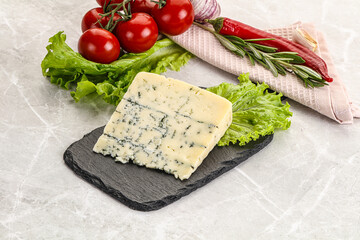 Gourmet blue cheese with mold