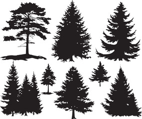 Set Trees. Hand drawn vector illustration