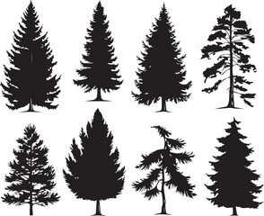 Set Trees. Hand drawn vector illustration