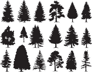 Set Trees. Hand drawn vector illustration