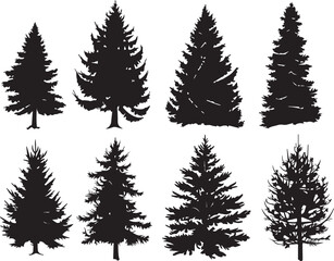 Set Trees. Hand drawn vector illustration