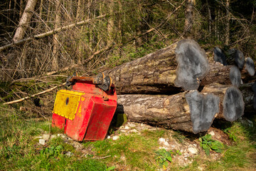 Timber Log Pile, The Lake District, Cumbria, England