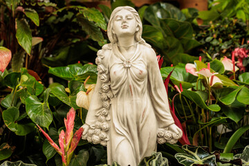 Fototapeta premium macro photographs of flowers with color and details