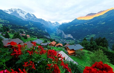 Morning scenery of Jungfrau with golden glow on snowy alpine mountain top  Wengen village on  grassy hillside overlooking Lauterbrunnen valley between vertical cliffs in Bernese Oberland, Switzerland