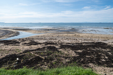 Beautiful Westfjords of Iceland on a sunny summer day at the beach