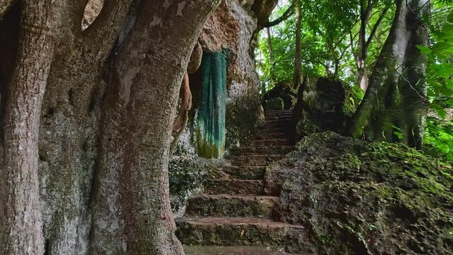Cenote semi cubierto en la ciudad de valladolid en la selva del caribe mexicano