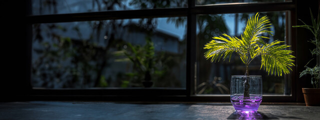 Twilight Elegance with Indoor Palm Shadow, contemporary decor, stylish background, evening ambiance illustration, modern interior showcase, purple mood setter, banner, space for text