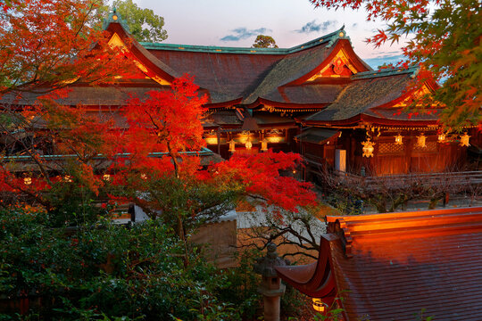 Beautiful autumn scenery of maple trees by majestic traditional Japanese architectures in Kitano Tenmangu, a famous Shinto Shrine (Jinja) in Kyoto, Japan, with fiery foliage lighted up before dusk