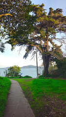  Street paths. Nature. Benches.