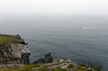 Fototapeta na wymiar The rocks of the Bruce Peninsula in Peter the Great Bay. Primorsky Krai