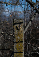 old fence post