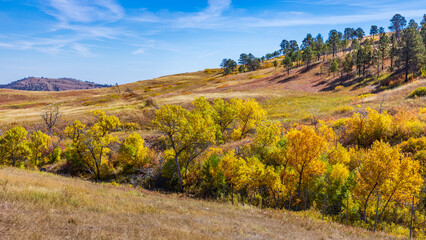 South Dakota-Hermosa-Red Valley Road