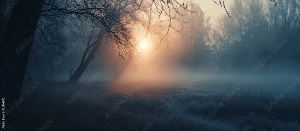 Canvas Prints mystical morning view through enchanting fog