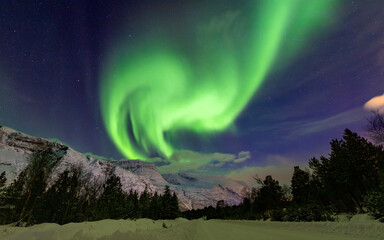 it&acute;s magic - Northern lights