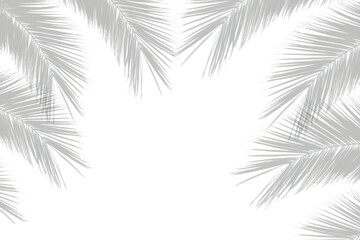 Palm branches shadow on white background. Realistic palm leaf border shadow mock up. Transparent shadow of tropical leaves. Vector illustration
