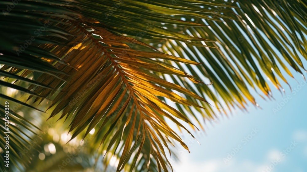 Poster a close-up view of a palm tree with a vibrant blue sky in the background. perfect for tropical and s