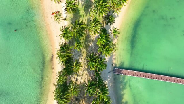 Drone's eye view reveals an enchanting tropical island, where turquoise waters kiss sandy shores lined with coconut trees. Natural wonders concept. Cinematic footage. Ko Ngam, Trat Province, Thailand.
