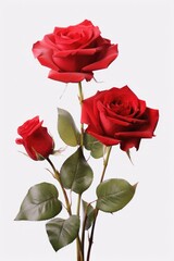 Three red roses with green leaves arranged in a vase. Perfect for romantic occasions or floral decorations