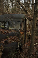 Fototapeta na wymiar Old delivery truck in woods long parked