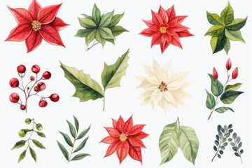 Foto op Canvas A collection of beautiful watercolor Christmas flowers and leaves. Perfect for adding a festive touch to your holiday designs and decorations © Fotograf