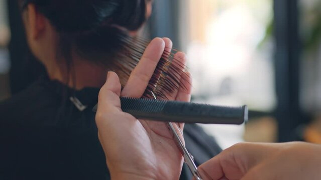 Closeup - Professional stylist cutting woman's hair in salon, Hairdresser trimming black hair with scissors