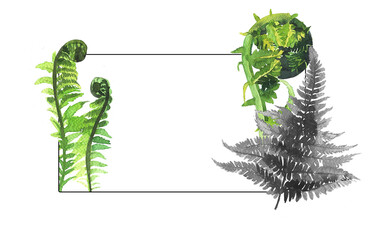 Beautiful fern arrangement for card,print,invitation. Watercolor forest greenery bouquet frame with greenery isolated on a white background.Luxury decoration for wedding design.