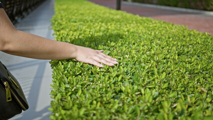 Close-up of a young woman's hand gently touching green shrubbery in an outdoor city setting.