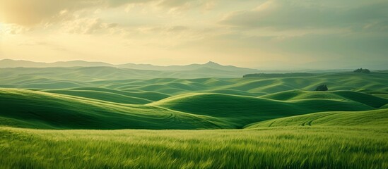Captivating Scenery: Vast, Endless Fields Stretching across Vast, Endless Fields, Creating an Enchanting Landscape
